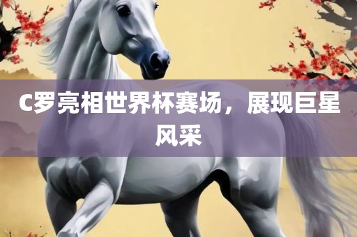 C罗亮相世界杯赛场永康市本千工贸有限公司,展现巨星风采