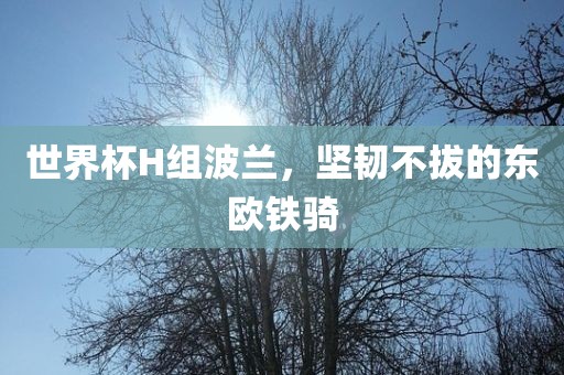 世界杯H组波兰,坚韧不拔的东欧铁骑永康市本千工贸有限公司