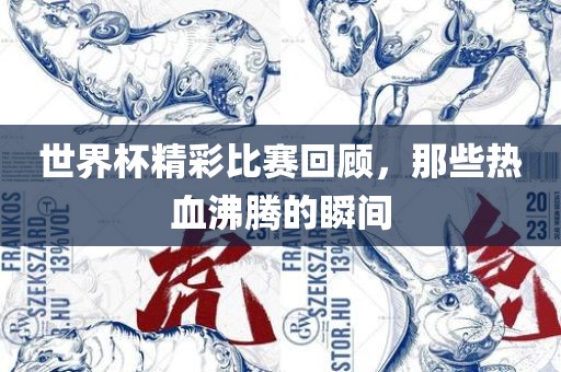 世界杯精彩比赛回顾，那些热血沸腾的瞬间