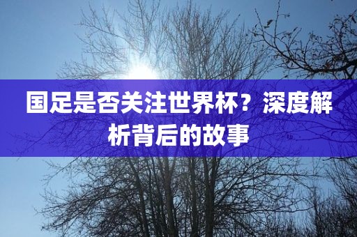 国足是否关注世界杯?深度解析背后的故事