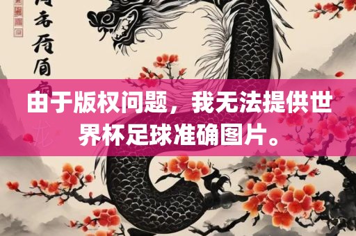 由于版权问题,我无法提供世界杯足球准确图片。