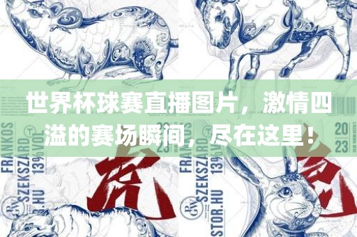 世界杯球赛直播图片,激情四溢的赛场瞬间,尽在这里!永康市本千工贸有限公司