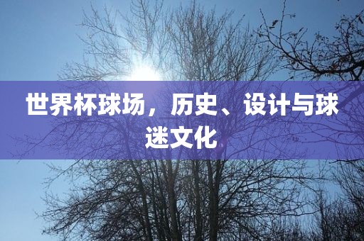 世界杯球场,历史、设计与球迷文化