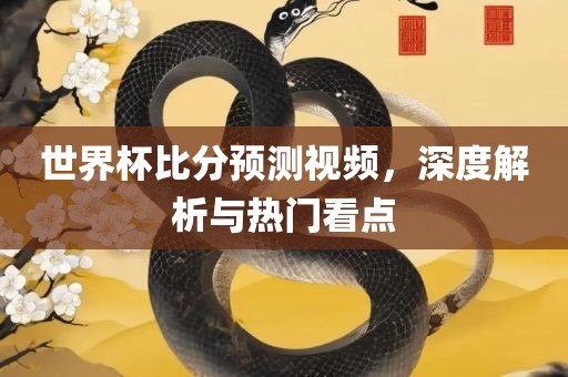 世界杯比分预测视频,深度解析与热门看点
