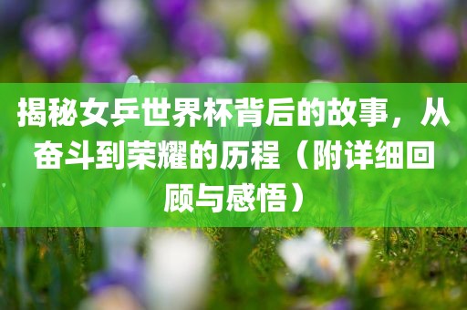 揭秘女乒世界杯背后的故事,从奋斗到荣耀的历程(附详细回顾与感悟)