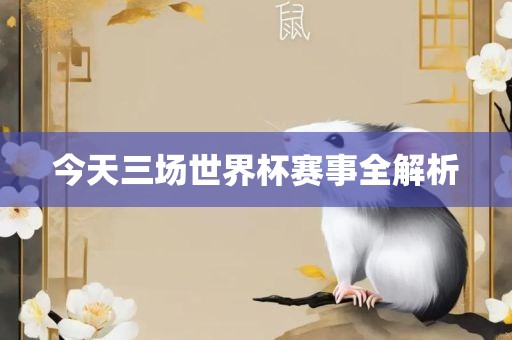 今天三场世界杯赛事全解析永康市本千工贸有限公司