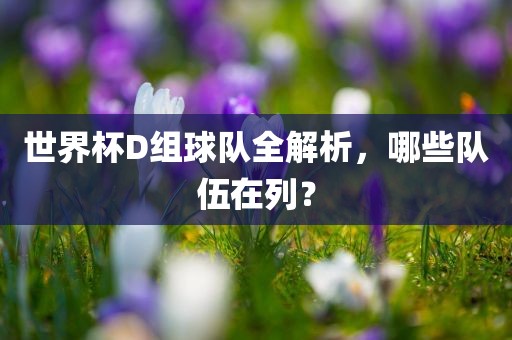 世界杯D组球队全解析，永康市本千工贸有限公司哪些队伍在列？