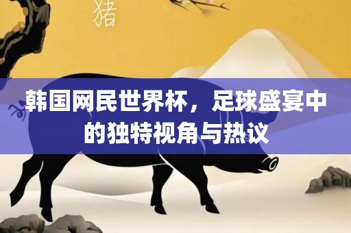 韩国网民世界杯,足球盛宴中的独特视角与热议永康市本千工贸有限公司