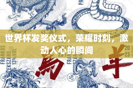 世界杯发奖仪式,荣耀时刻,激动人心的瞬间永康市本千工贸有限公司