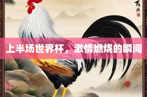 上半场世界杯，激情燃烧的瞬间