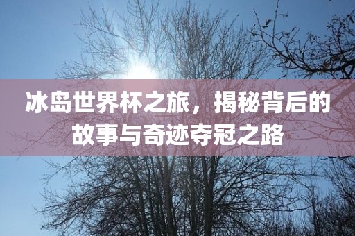 冰岛世界杯之旅,揭秘背后的故事与奇迹夺冠之路