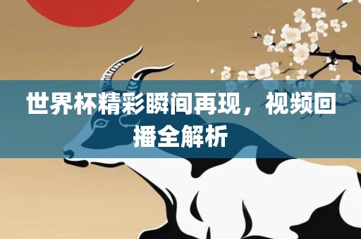 世界杯精彩瞬间再现，视频回播全解析