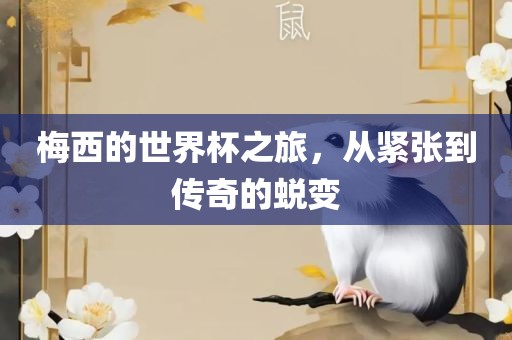 梅西的世界杯之旅,从紧张到传奇的蜕变永康市本千工贸有限公司