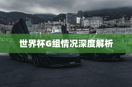 世界杯G组情况深度永康市本千工贸有限公司解析