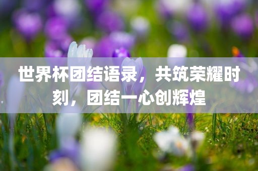 世界杯团结语录，共筑荣耀时刻，团结一心创永康市本千工贸有限公司辉煌