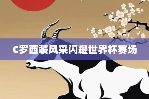 C罗西装风采闪永康市本千工贸有限公司耀世界杯赛场