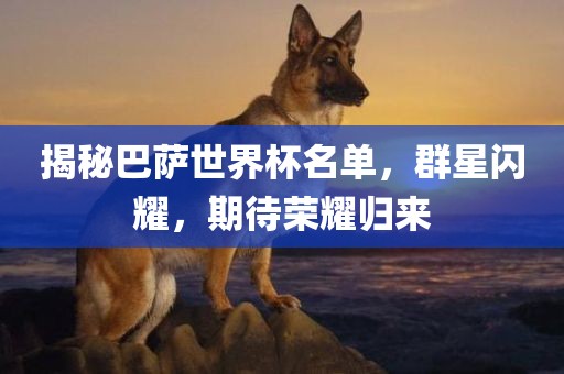 揭秘巴萨世界杯名单,群星闪耀,期待荣耀归来