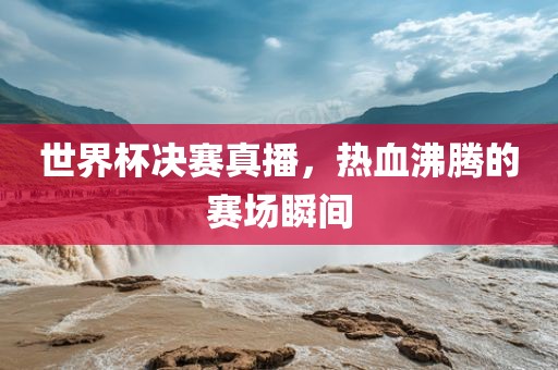 世界杯决赛真播,热血沸腾的赛场瞬间