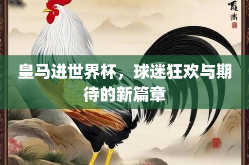 皇马进世界杯，球迷狂欢与期待的新篇章永康市本千工贸有限公司