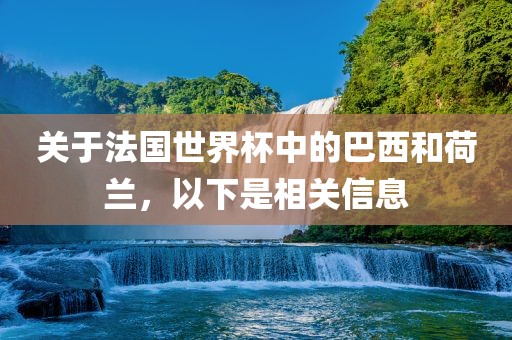 关于法国世界杯中的巴西和荷兰,以下是相关信息