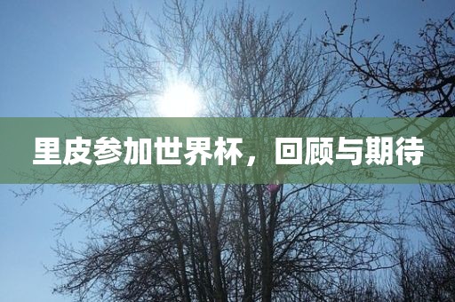 里皮参加世界杯，回顾与期待