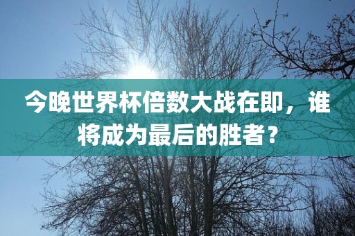 今晚世界杯倍数大战在即,谁将成为最后的胜者永康市本千工贸有限公司?