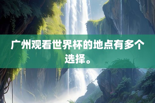 广州观看世界杯的地点有多个选择。