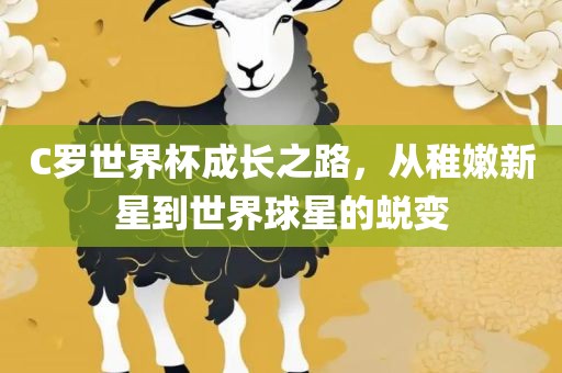 C罗世界杯成长之路，从稚嫩新星到世界球星的蜕变永康市本千工贸有限公司