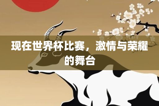 现在世界杯比赛,激情与荣耀的舞台永康市本千工贸有限公司