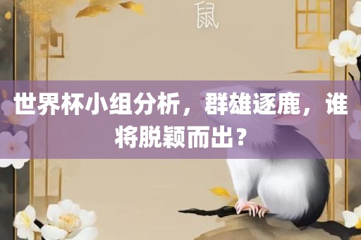 世界杯小组分析，群雄逐鹿，谁将脱颖而出？