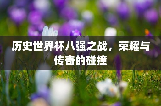 历史世界杯八强之战,荣耀与传奇的碰撞