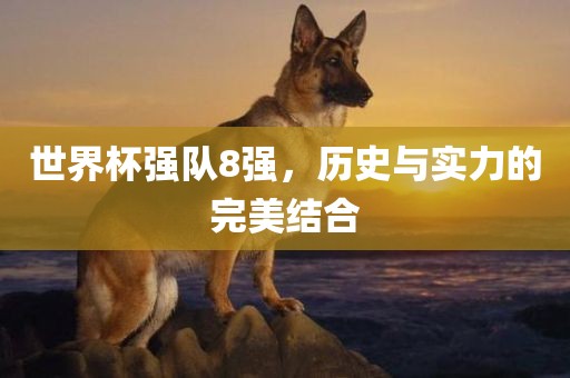 世界杯强队8强,历史与实力的完美结合