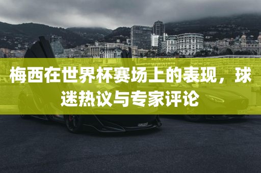 梅西在世界杯赛场上的表现,球迷热议与专家评论永康市本千工贸有限公司