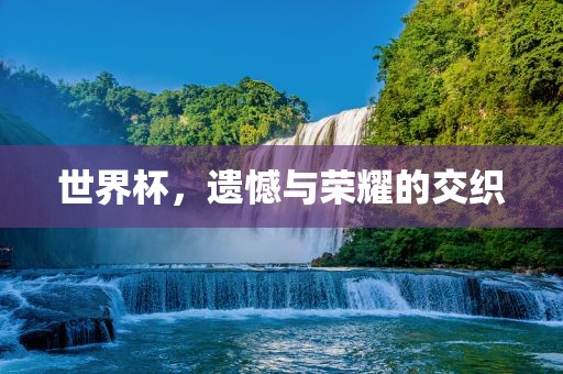 世界杯,遗憾与荣耀的交织永康市本千工贸有限公司