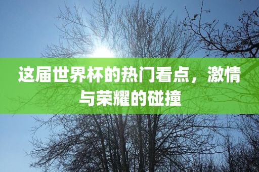 这届世界杯的热门看点,激情与荣耀的碰撞