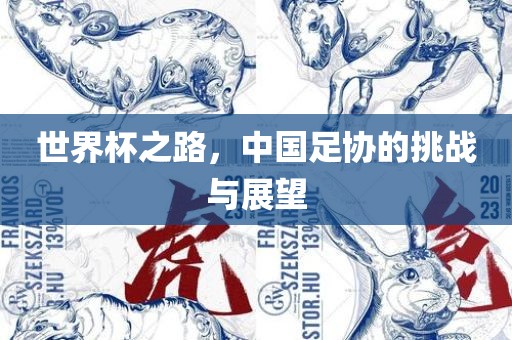 世界杯之路，中国足协的挑战与展望