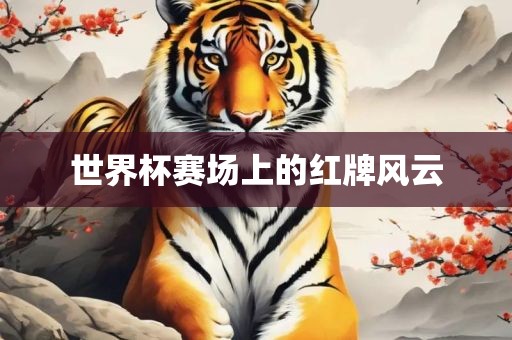 世界杯赛场上的红牌风云永康市本千工贸有限公司