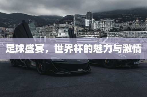 足球盛宴,世界杯的魅力与激情