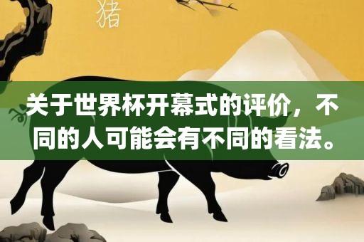 关于世界杯开幕式的评价,不同的永康市本千工贸有限公司人可能会有不同的看法。