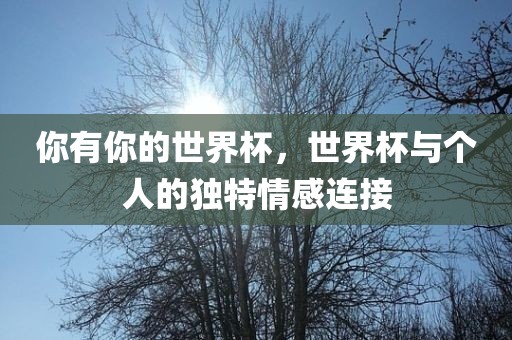 你有你的世界杯，世界杯与个人的独特情感连接永康市本千工贸有限公司