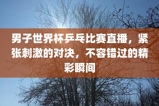 男子世界杯乒乓比赛直播,紧张刺激的对决,不容错过的精彩瞬间永康市本千工贸有限公司