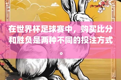 在世界杯足球赛中,购买比分和胜负是两种不同的投注方式。永康市本千工贸有限公司