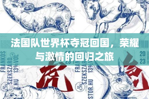 法国队世界杯夺冠回国,荣耀与激情的回归之旅永康市本千工贸有限公司