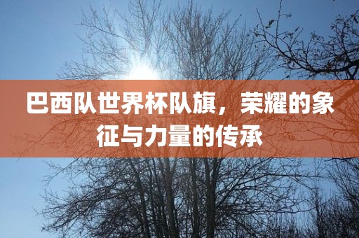 巴西队世界杯队旗,荣耀的象征与力量的传承永康市本千工贸有限公司