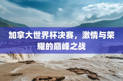 加拿大世界杯决赛,激情与荣耀的巅峰之战