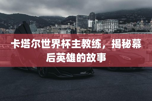 卡塔尔世界杯主教练,揭秘幕后英雄的故事