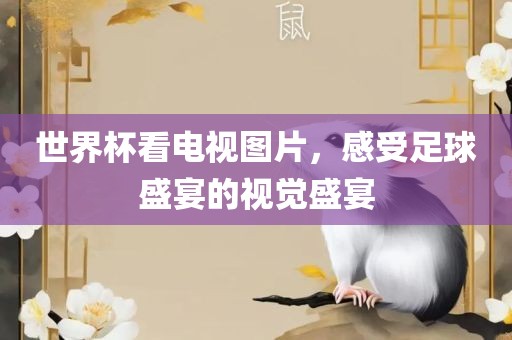 世界杯看电视图片,感受足球盛宴的视觉盛宴