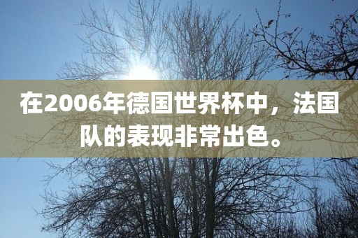 在2006年德国世界杯中,法国队的表现非常出色。