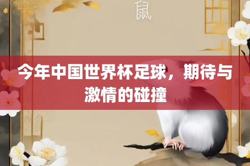 今年中国世界杯足球，期待与激情的碰撞