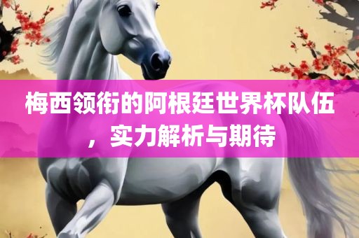 梅西领衔的阿根廷世界杯队伍，实力解析与期待